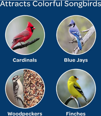 Amazing Kaytee Birders Blend Premium Wild Bird Food Mix