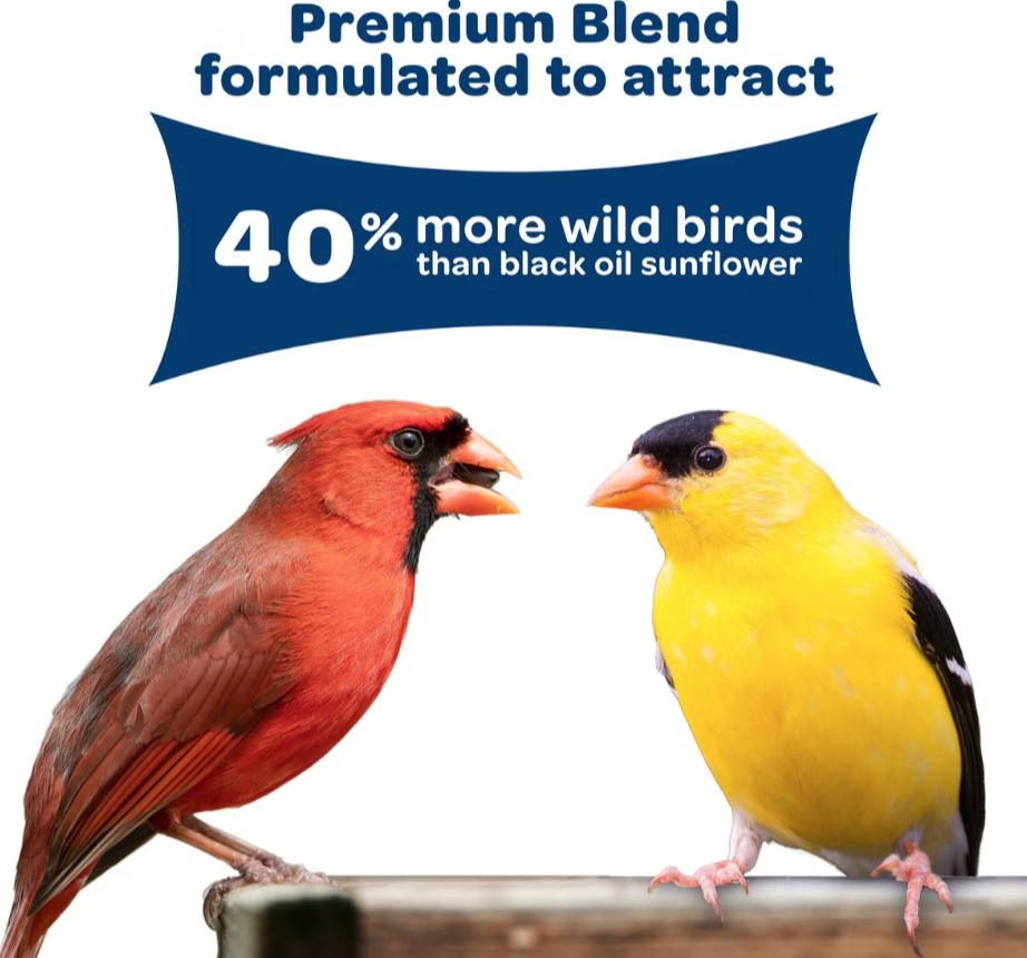 Amazing Kaytee Birders Blend Premium Wild Bird Food Mix
