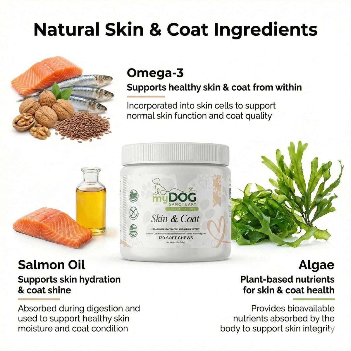 Radiant Refuge Skin & Coat Chews